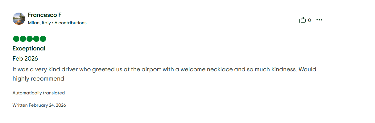 TripAdvisor Review 3