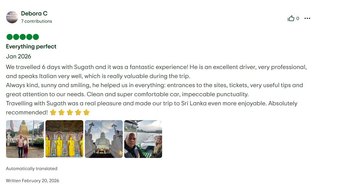 TripAdvisor Review 6