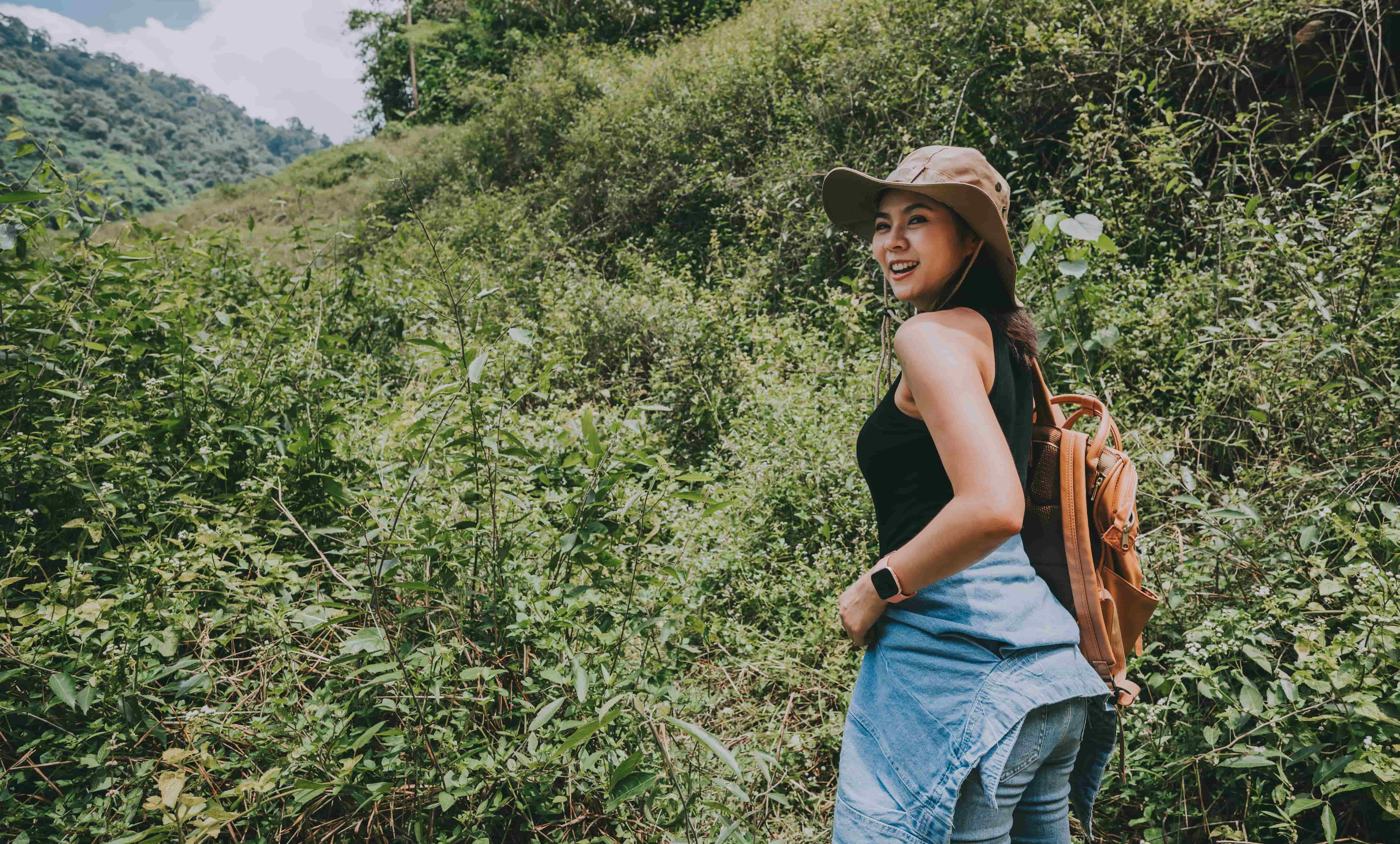 Hill Country Explorer & Tea Trails